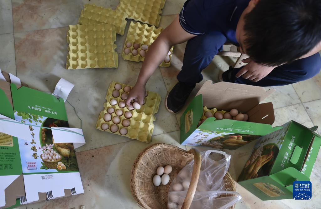 mg游戏账号登录